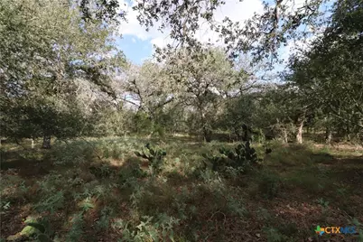 5668 State Highway 97, Floresville, TX 78114 - Photo 9