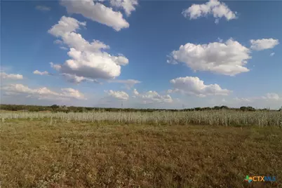 5668 State Highway 97, Floresville, TX 78114 - Photo 19