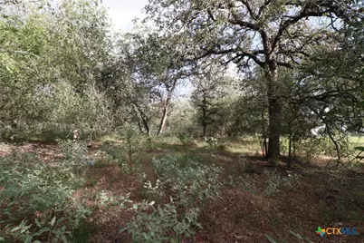 5668 State Highway 97, Floresville, TX 78114 - Photo 11