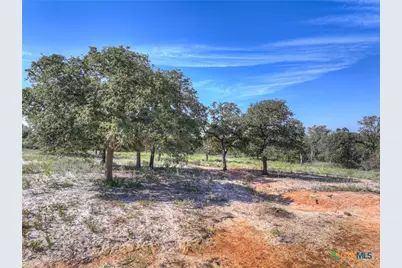 3912 Hickory Forrest Drive, Seguin, TX 78155 - Photo 15