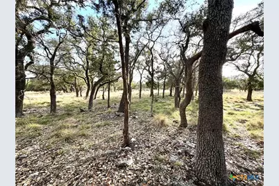 1358 County Road 233 Road, Florence, TX 78633 - Photo 13