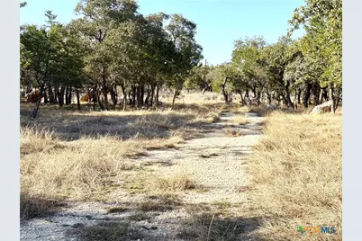 1358 County Road 233 Road, Florence, TX 78633 - Photo 7