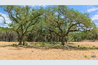 Tract 8 Cypress Cove Road, Spring Branch, TX 78070 - Photo 9