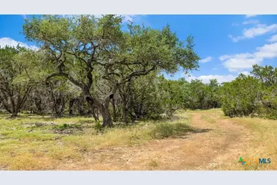 Tract 8 Cypress Cove Road, Spring Branch, TX 78070 - Photo 7