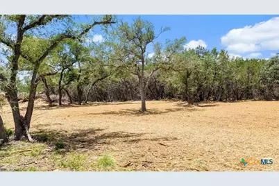 Tract 8 Cypress Cove Road, Spring Branch, TX 78070 - Photo 3