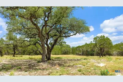 Tract 8 Cypress Cove Road, Spring Branch, TX 78070 - Photo 1
