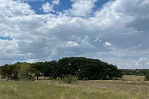 4009 N Hwy 183, Lampasas, TX 76550 - Photo 3