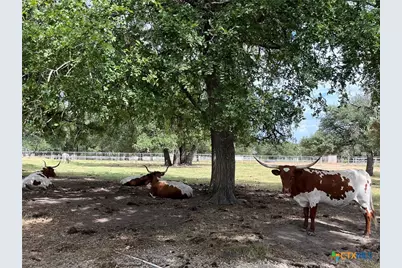 4009 N Highway 183, Lampasas, TX 76550 - Photo 19