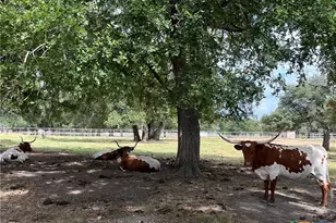 4009 N Hwy 183, Lampasas, TX 76550 - Photo 19