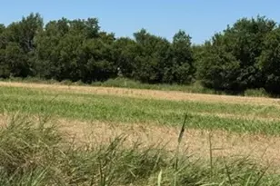Tbd Tx-95, Holland, TX 76534 - Photo 1