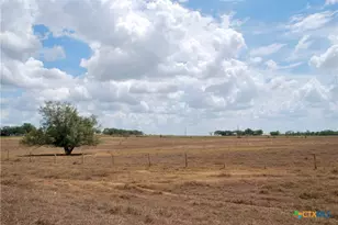 Tbd Fm 1891, Shiner, TX 77984 - Photo 15