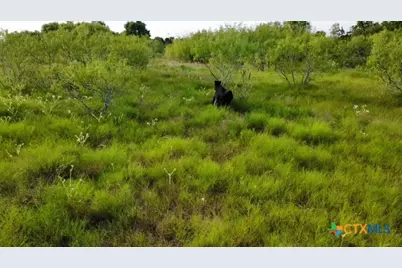 4051 N Hwy 36, Cameron, TX 76520 - Photo 13