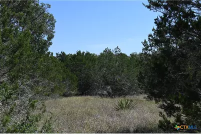 291 Serenity Pass, Spring Branch, TX 78070 - Photo 7