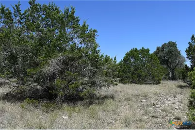 291 Serenity Pass, Spring Branch, TX 78070 - Photo 9