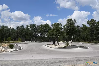 291 Serenity Pass, Spring Branch, TX 78070 - Photo 3