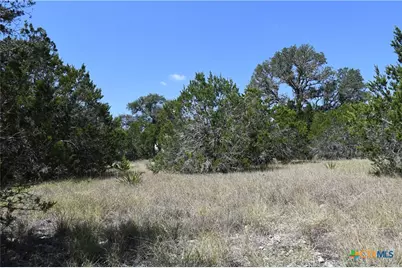 291 Serenity Pass, Spring Branch, TX 78070 - Photo 15