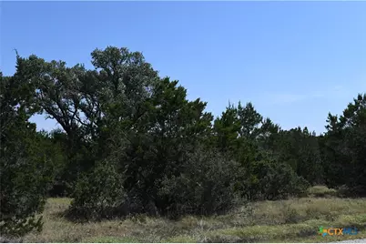 291 Serenity Pass, Spring Branch, TX 78070 - Photo 5