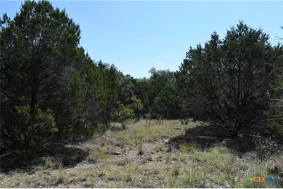 291 Serenity Pass, Spring Branch, TX 78070 - Photo 11