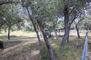 6154 Hwy 183 N, Goliad, TX 77963 - Photo 17