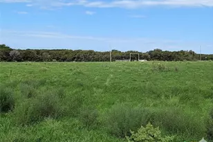 135 County Rd 360, Gatesville, TX 76528 - Photo 3
