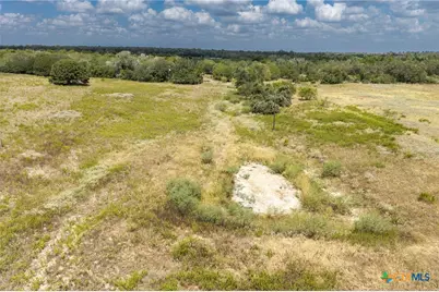 2195 Mule Creek Road, Harwood, TX 78632 - Photo 7