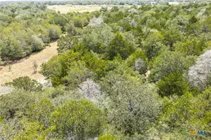 2195 Mule Creek Rd, Harwood, TX 78632 - Photo 31