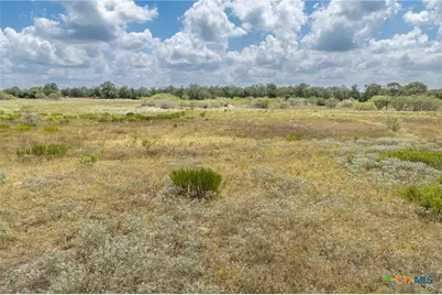 2195 Mule Creek Road, Harwood, TX 78632 - Photo 39