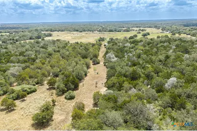 2195 Mule Creek Road, Harwood, TX 78632 - Photo 29