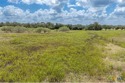 2195 Mule Creek Road, Harwood, TX 78632 - Photo 47