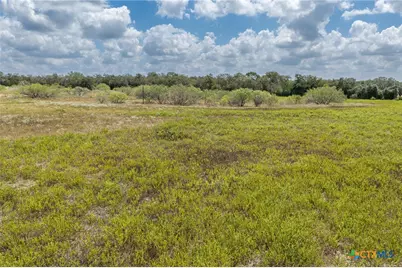 2195 Mule Creek Road, Harwood, TX 78632 - Photo 45