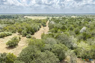 2195 Mule Creek Rd, Harwood, TX 78632 - Photo 15