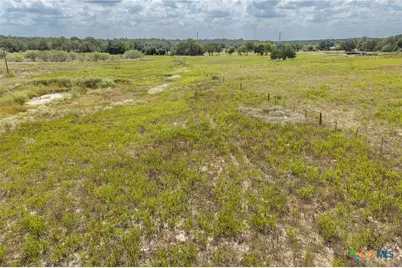 2195 Mule Creek Road, Harwood, TX 78632 - Photo 25