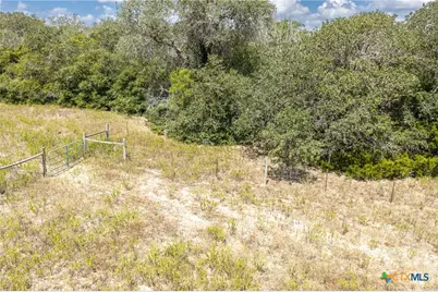 2195 Mule Creek Road, Harwood, TX 78632 - Photo 27