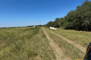 000 County Road 18 20 49 Acres Tract 1, Hallettsville, TX 77964 - Photo 13
