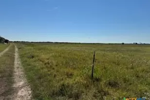 000 County Road 18 20 49 Acres Tract 1, Hallettsville, TX 77964 - Photo 9