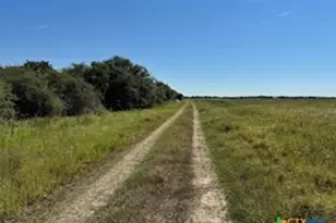 000 County Road 18 20 49 Acres Tract 1, Hallettsville, TX 77964 - Photo 11