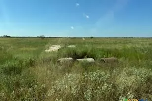 000 County Road 18 20 49 Acres Tract 1, Hallettsville, TX 77964 - Photo 5