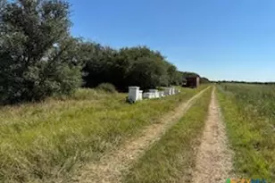 000 County Road 18 20 49 Acres Tract 1, Hallettsville, TX 77964 - Photo 15