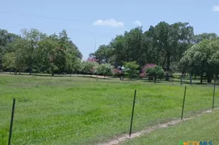 1037 Noll Rd, Meyersville, TX 77974 - Photo 3