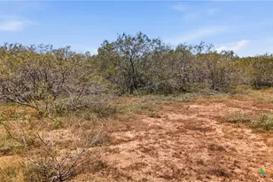 821 Co Rd 482, Gonzales, TX 78629 - Photo 3