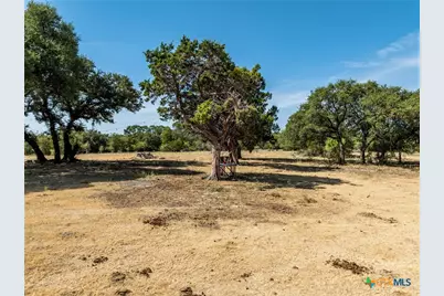 Tbd Reno Road, Gatesville, TX 76528 - Photo 29