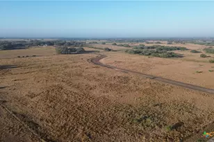 000 Seiler Rd, Goliad, TX 77963 - Photo 1