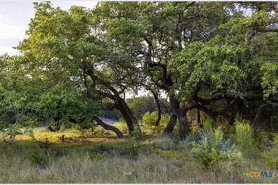 518 County Road 1403, Lometa, TX 76853 - Photo 17