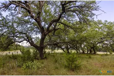 518 County Road 1403, Lometa, TX 76853 - Photo 19