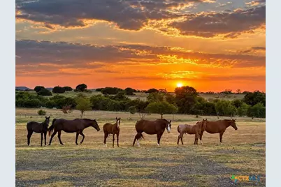 417 County Road 60, Gatesville, TX 76528 - Photo 9