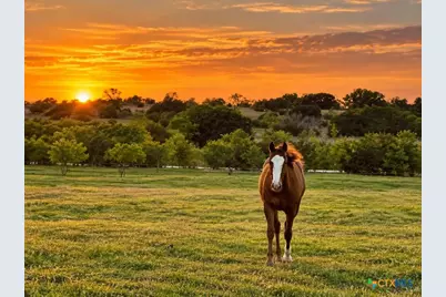 417 County Road 60, Gatesville, TX 76528 - Photo 45