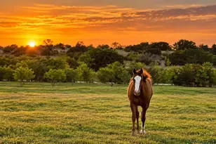 417 Co Rd 60, Gatesville, TX 76528 - Photo 45
