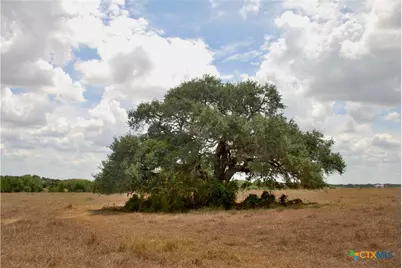 Tract 2 County Road 366, Shiner, TX 77984 - Photo 7