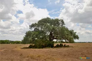 Tract 2 County Road 366, Shiner, TX 77984 - Photo 7
