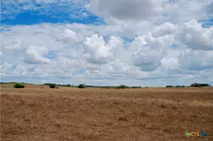 Tract 2 County Road 366, Shiner, TX 77984 - Photo 13